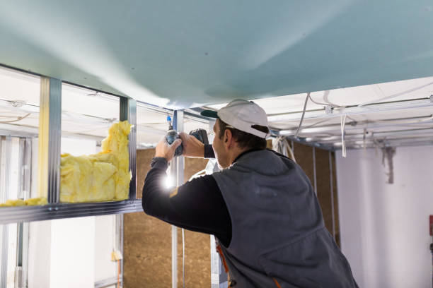 Best Affordable Insulation Services  in Fallsburg, NY