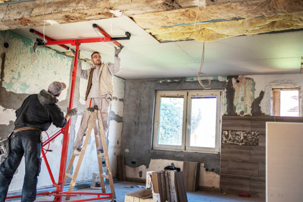 Best Cellulose Insulation  in Fallsburg, NY