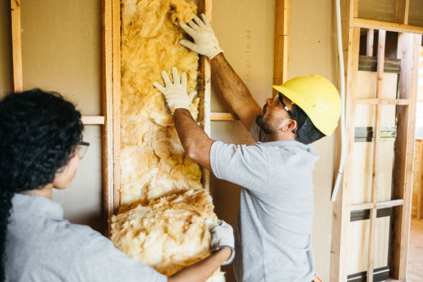 Best Insulation Inspection Services  in Fallsburg, NY