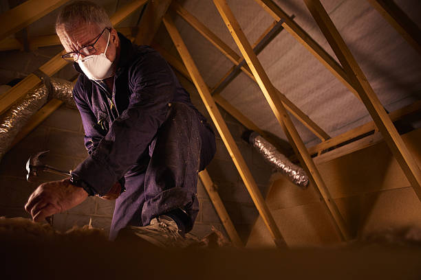 Best Wall Insulation Contractor  in Fallsburg, NY